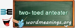 WordMeaning blackboard for two-toed anteater
